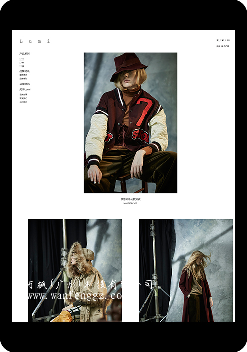 万枫科技网站设计图