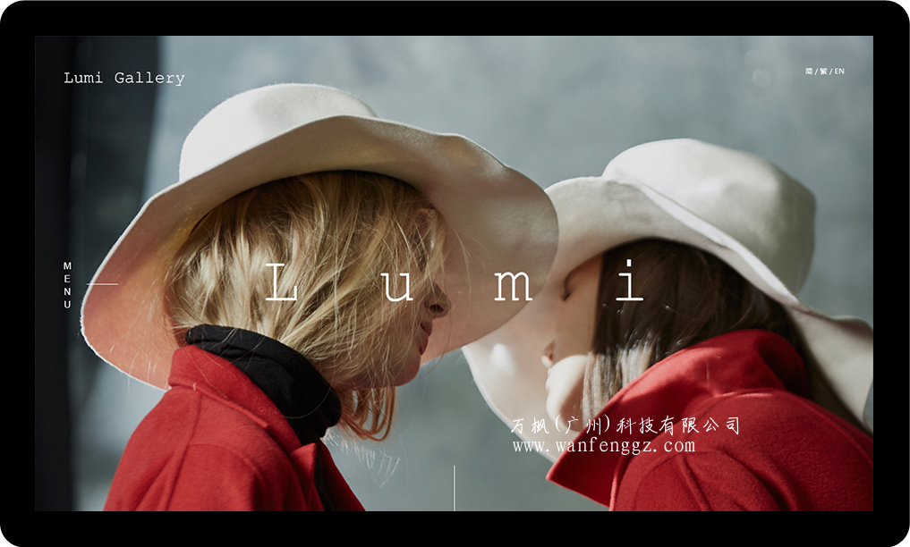 万枫科技网站设计图