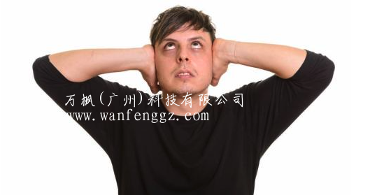 万枫网站建设专家